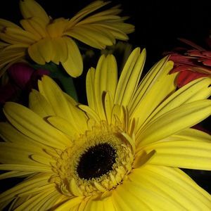 Meet your Posher, Marcy